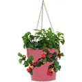 Superherostuff Enameled Galvanized Steel Strawberry, Herb & Floral Hanging Planter, Hot Pink PA2103498